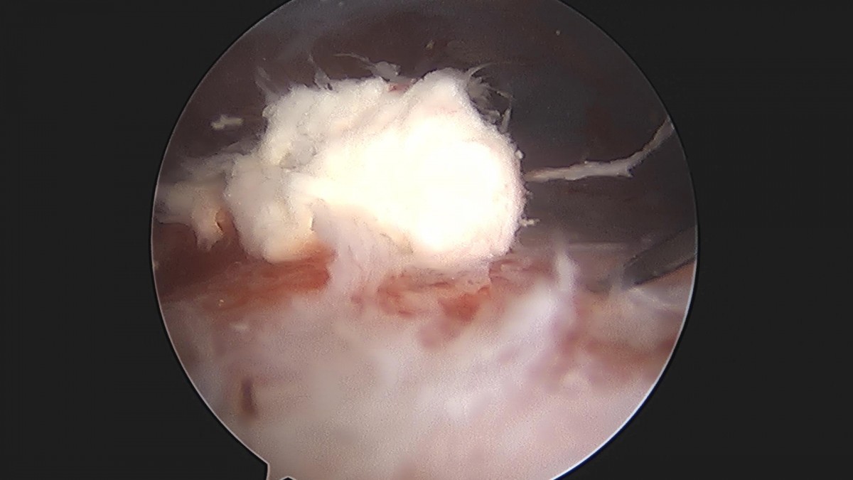 3cd48a8e02e388456e21d82dd041ccef_1652066140_479.jpg