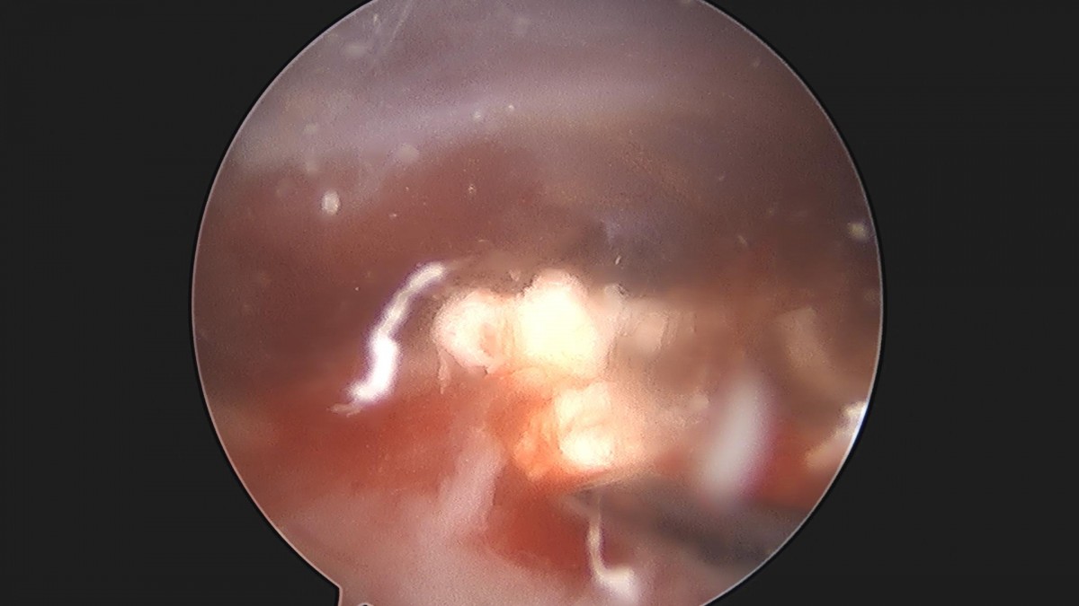 3cd48a8e02e388456e21d82dd041ccef_1652066141_1394.jpg