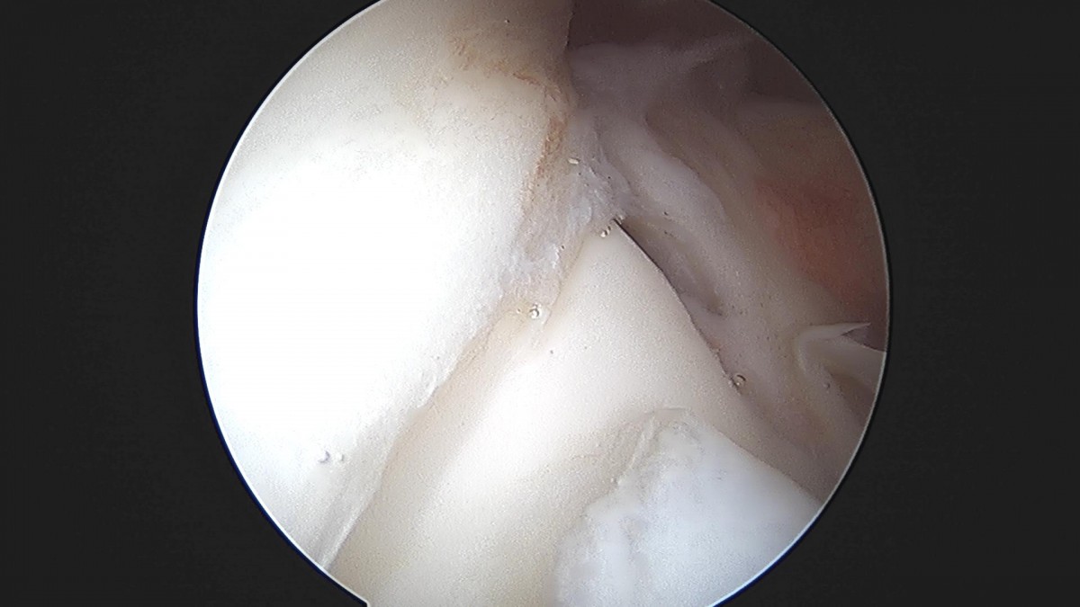3cd48a8e02e388456e21d82dd041ccef_1652066317_5486.jpg