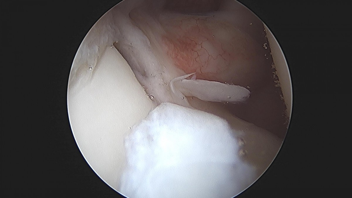 3cd48a8e02e388456e21d82dd041ccef_1652066318_2261.jpg