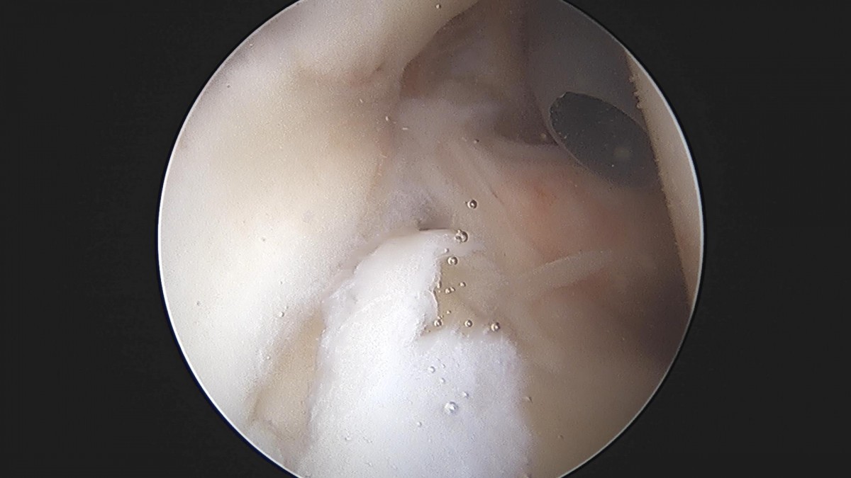 3cd48a8e02e388456e21d82dd041ccef_1652066320_158.jpg