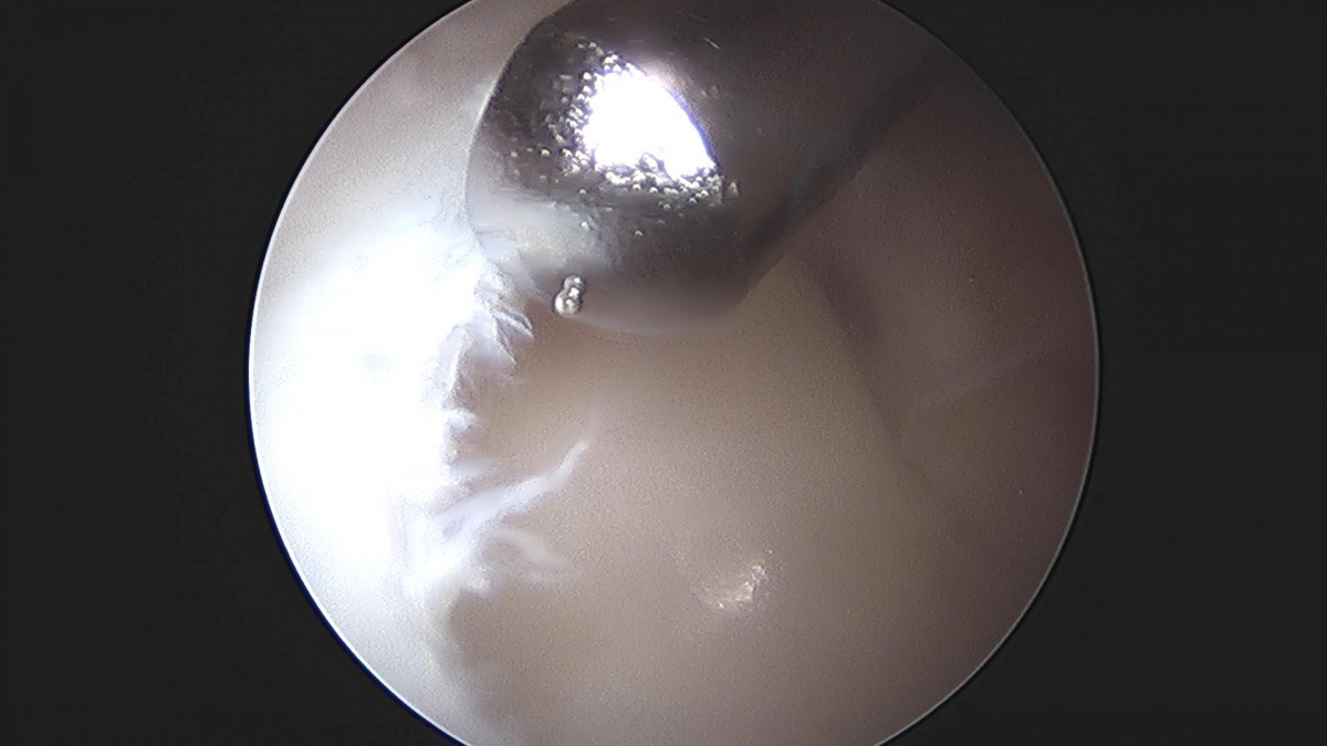 3cd48a8e02e388456e21d82dd041ccef_1652066320_8571.jpg