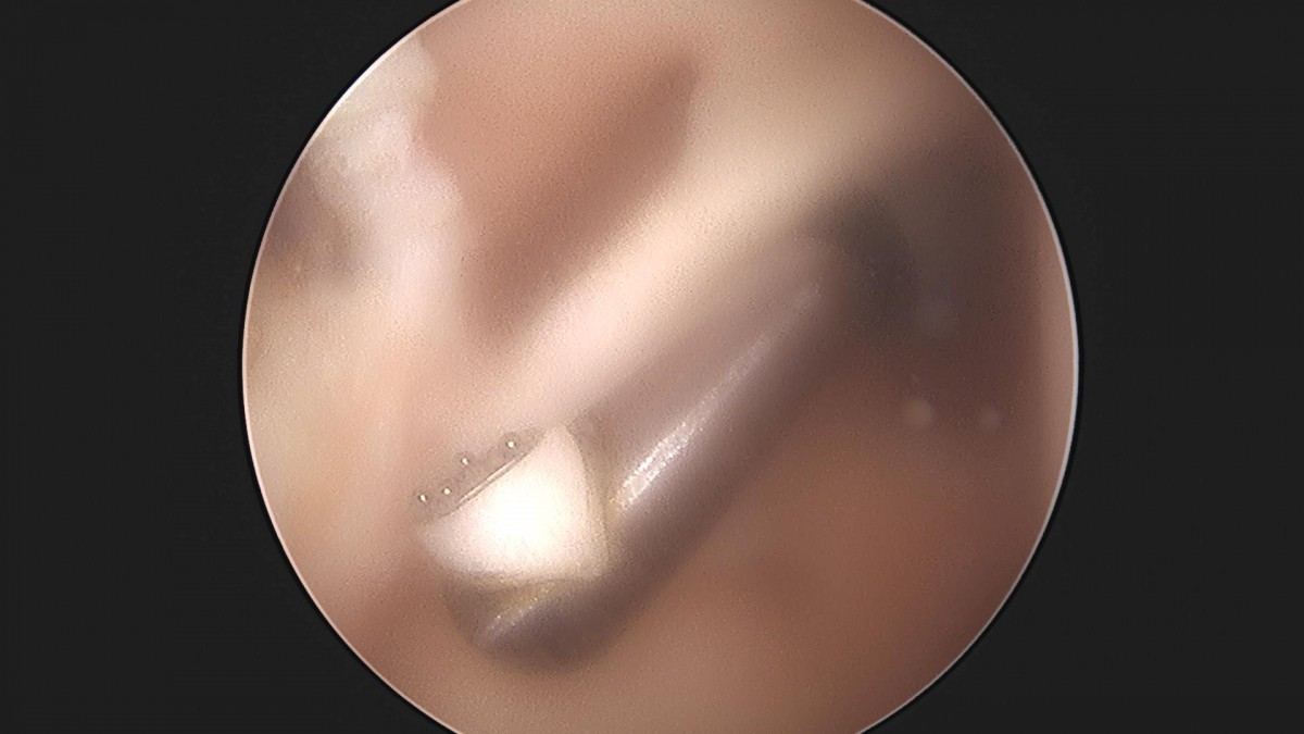 3cd48a8e02e388456e21d82dd041ccef_1652066321_524.jpg