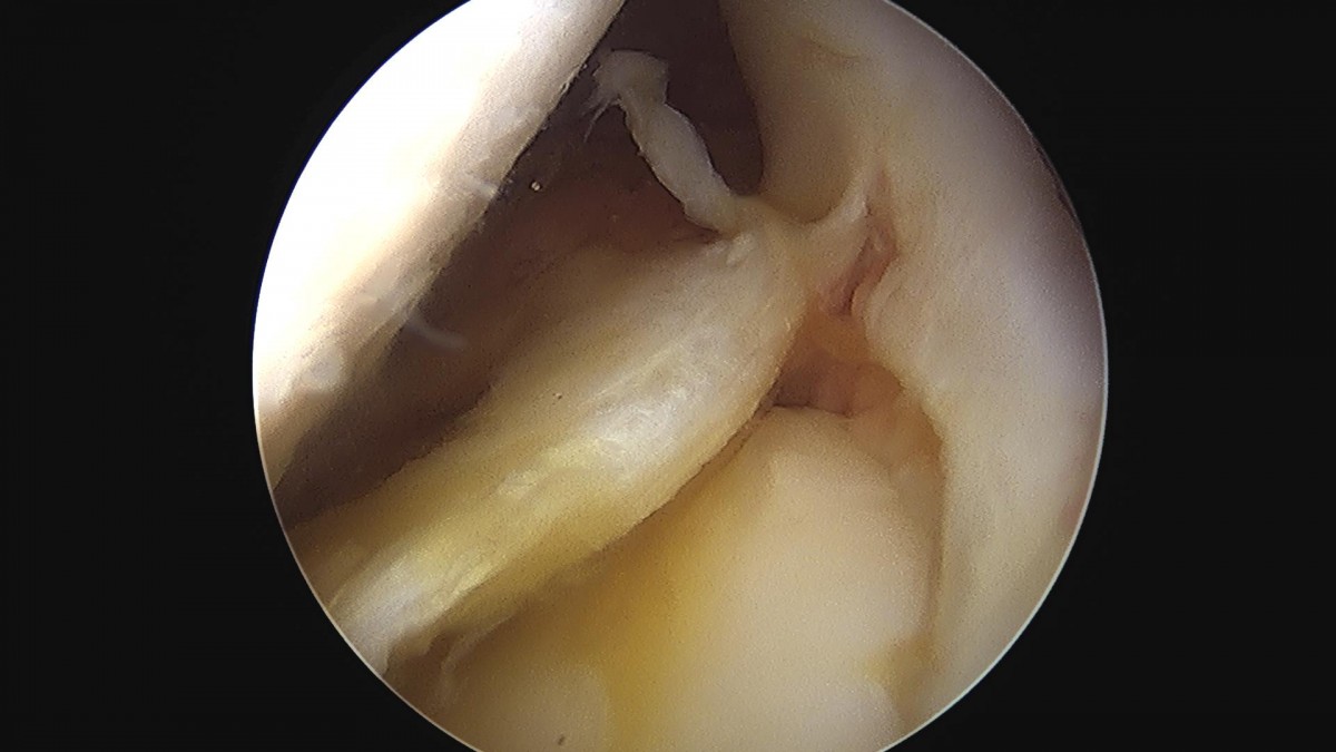3cd48a8e02e388456e21d82dd041ccef_1652066344_4406.jpg