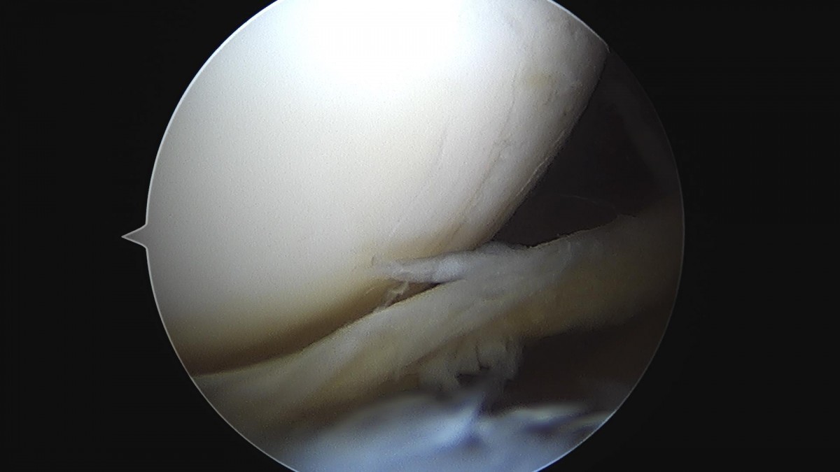 3cd48a8e02e388456e21d82dd041ccef_1652066345_1455.jpg