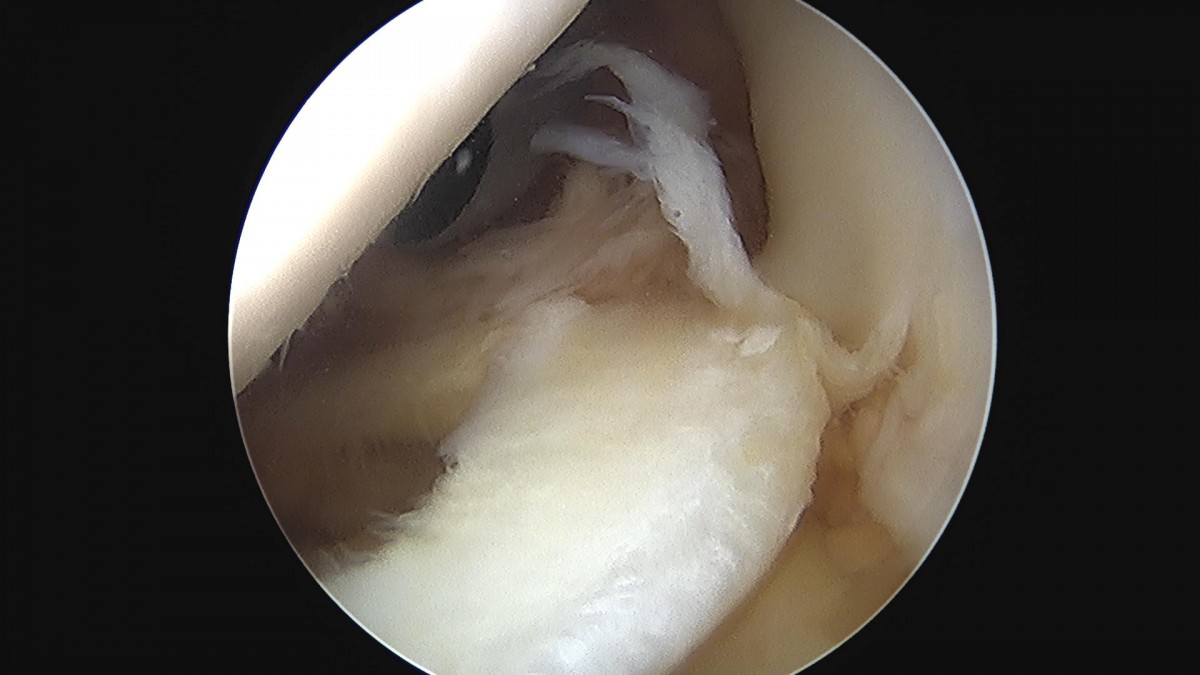 3cd48a8e02e388456e21d82dd041ccef_1652066345_7989.jpg