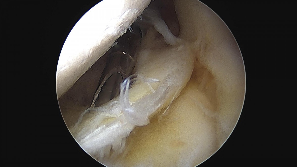 3cd48a8e02e388456e21d82dd041ccef_1652066346_453.jpg