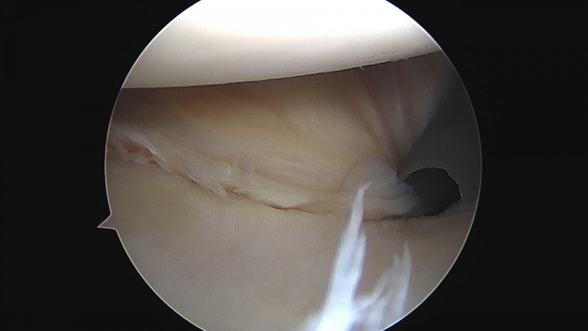 3cd48a8e02e388456e21d82dd041ccef_1652066348_5466.jpg