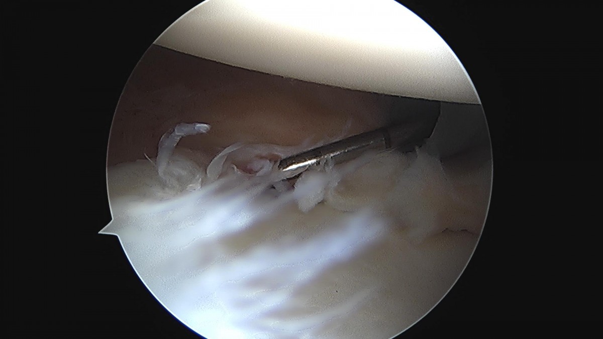 3cd48a8e02e388456e21d82dd041ccef_1652066349_2743.jpg