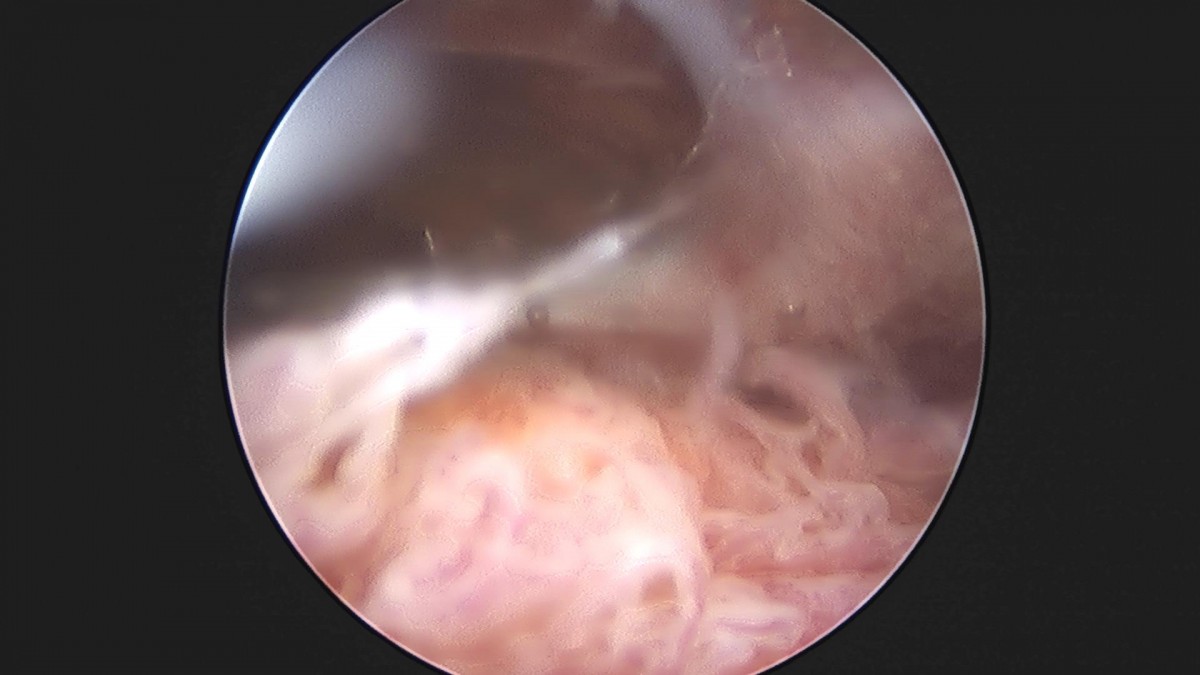 3cd48a8e02e388456e21d82dd041ccef_1652066487_6657.jpg