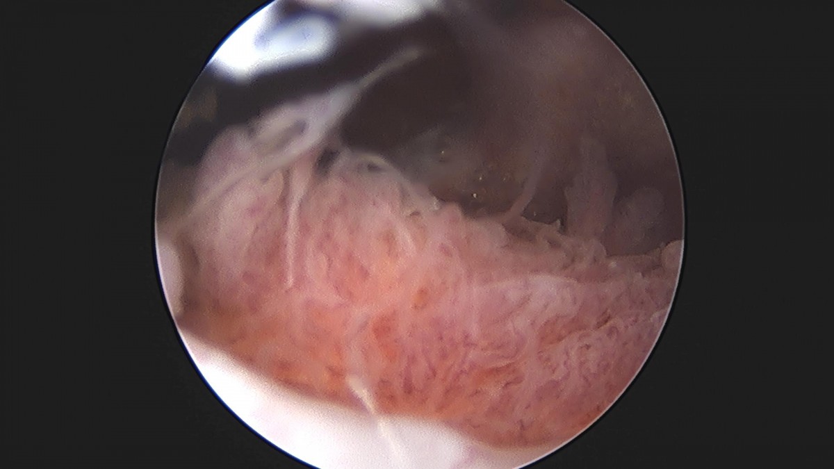 3cd48a8e02e388456e21d82dd041ccef_1652066488_3592.jpg