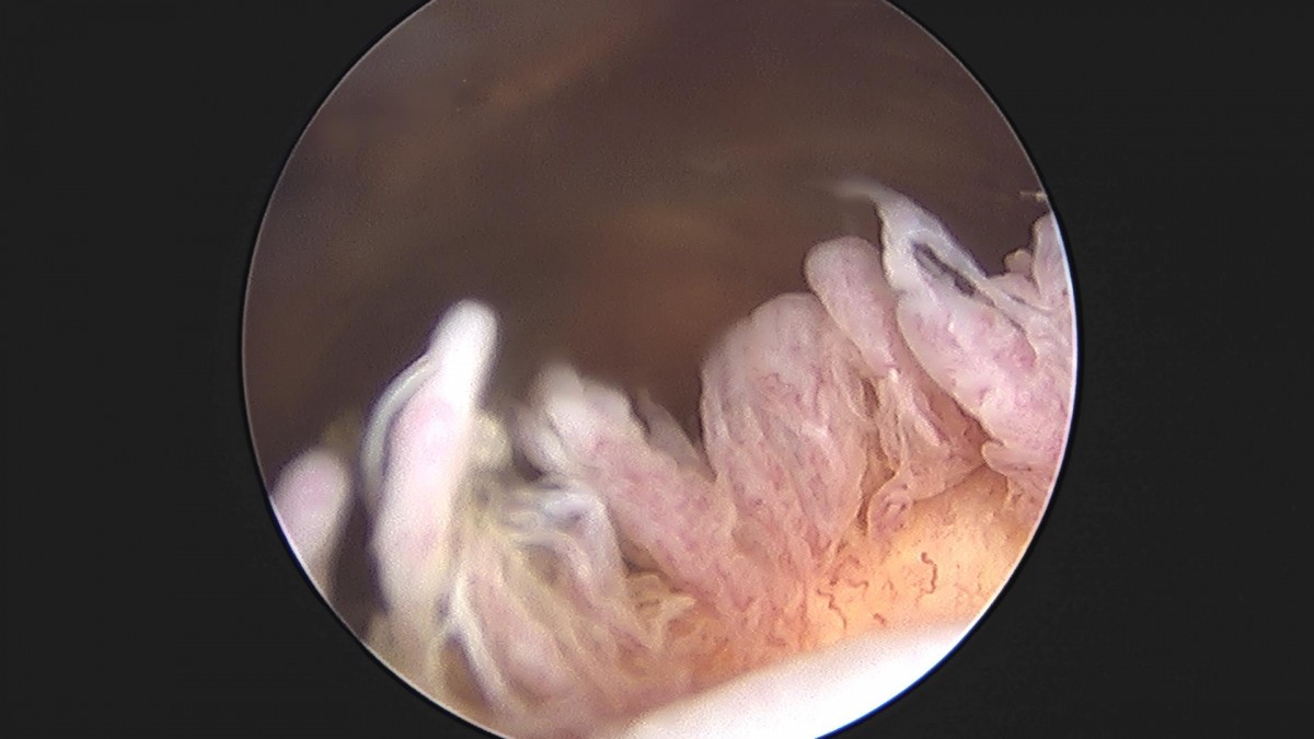 3cd48a8e02e388456e21d82dd041ccef_1652066489_0276.jpg