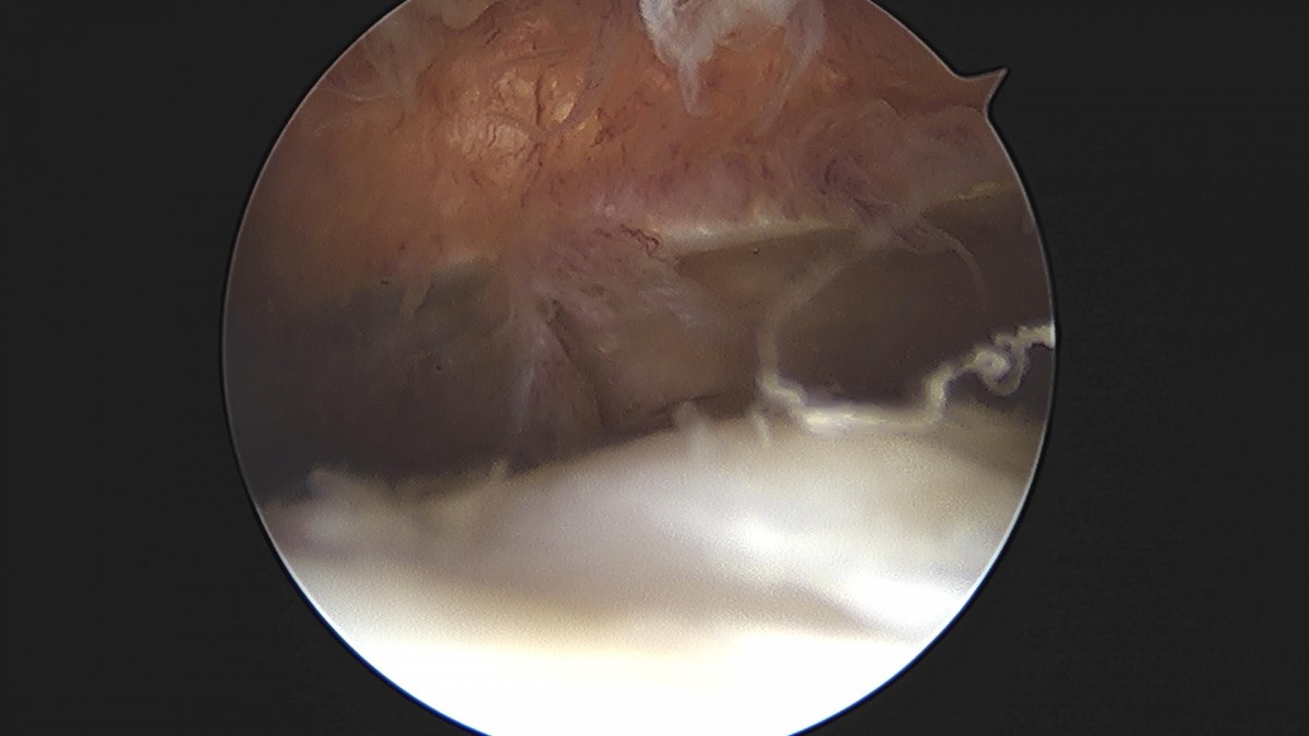 3cd48a8e02e388456e21d82dd041ccef_1652066489_7068.jpg