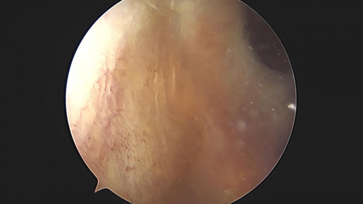 3cd48a8e02e388456e21d82dd041ccef_1652066490_4025.jpg