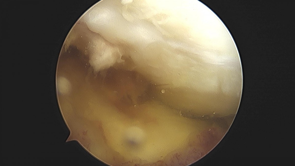 3cd48a8e02e388456e21d82dd041ccef_1652066491_0319.jpg