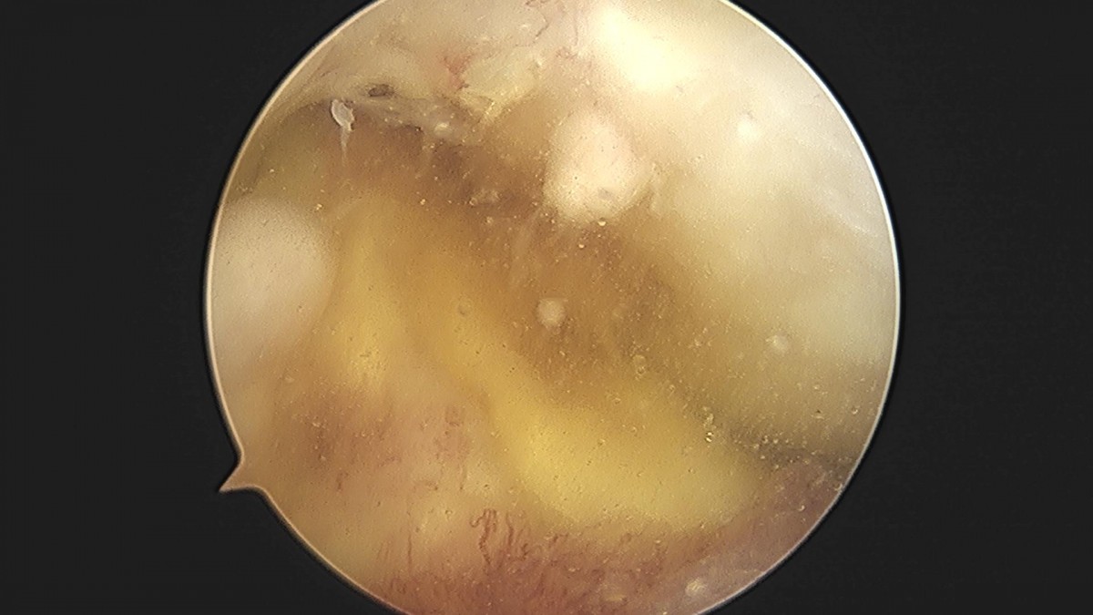 3cd48a8e02e388456e21d82dd041ccef_1652066491_6754.jpg