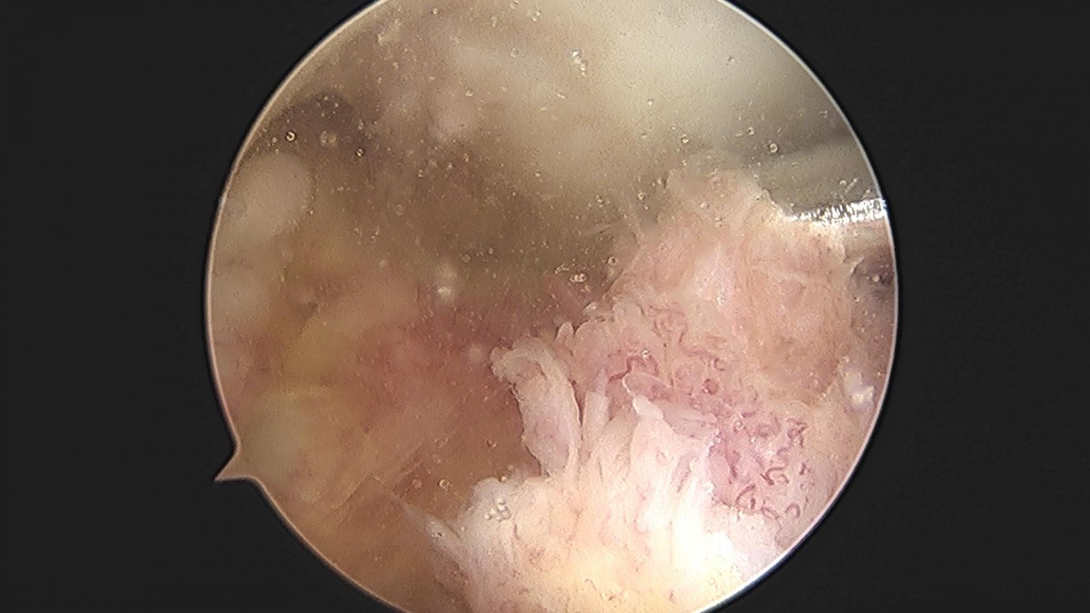 3cd48a8e02e388456e21d82dd041ccef_1652066492_3218.jpg