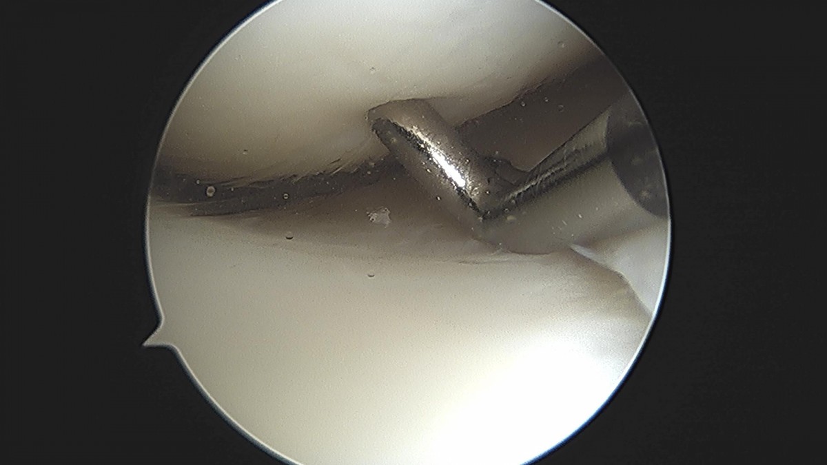 3cd48a8e02e388456e21d82dd041ccef_1652066510_665.jpg