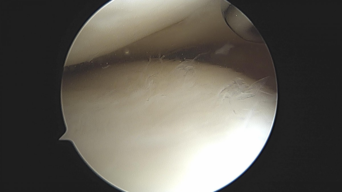 3cd48a8e02e388456e21d82dd041ccef_1652066511_3336.jpg