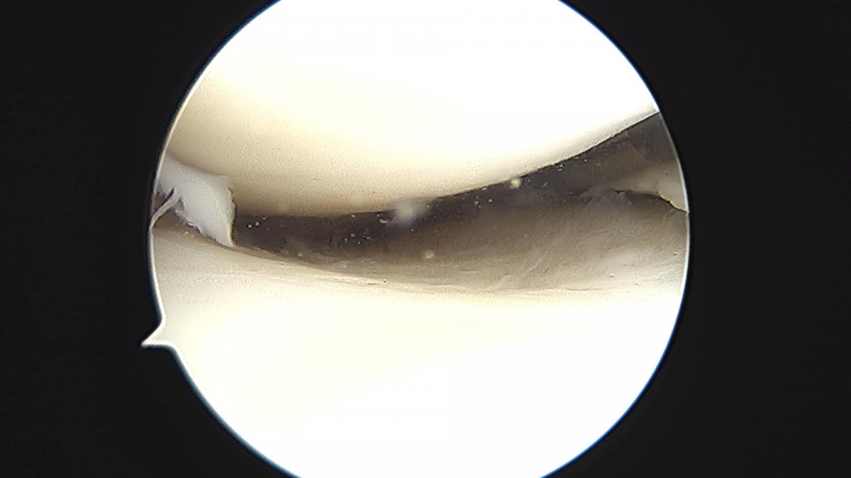 3cd48a8e02e388456e21d82dd041ccef_1652066511_9708.jpg