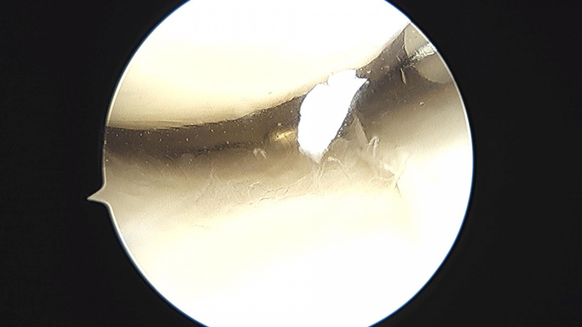 3cd48a8e02e388456e21d82dd041ccef_1652066512_5814.jpg