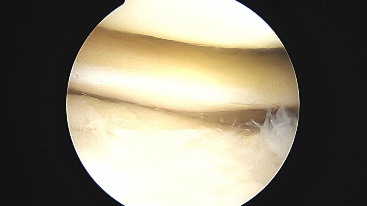 3cd48a8e02e388456e21d82dd041ccef_1652066513_2746.jpg