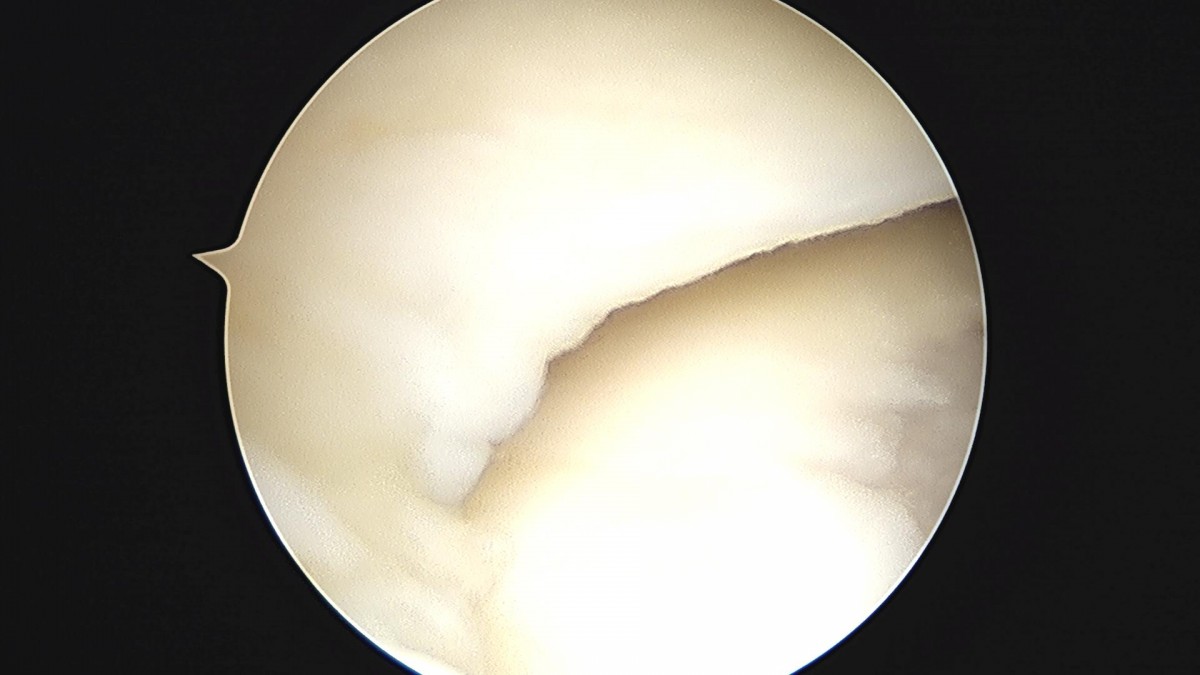 3cd48a8e02e388456e21d82dd041ccef_1652066513_9661.jpg