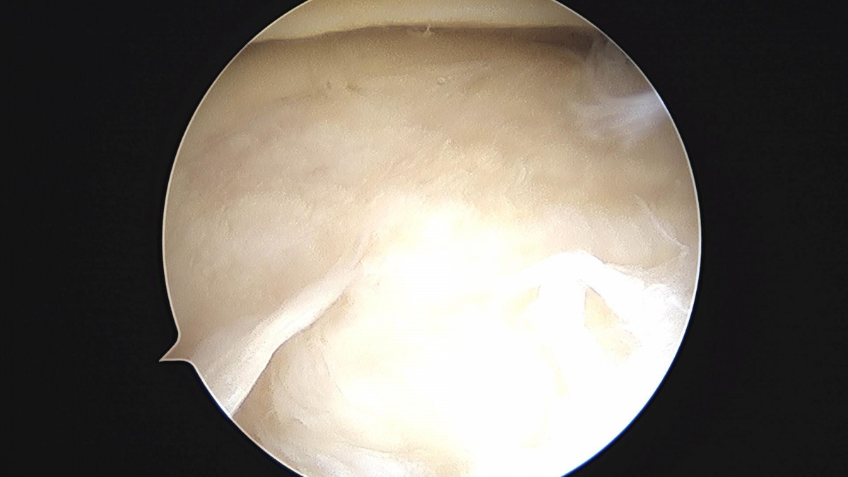 3cd48a8e02e388456e21d82dd041ccef_1652066514_6582.jpg