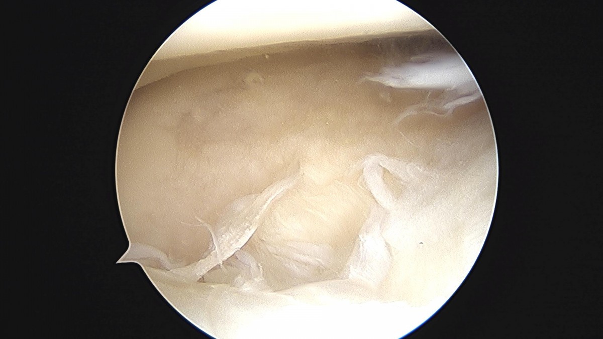 3cd48a8e02e388456e21d82dd041ccef_1652066515_3362.jpg