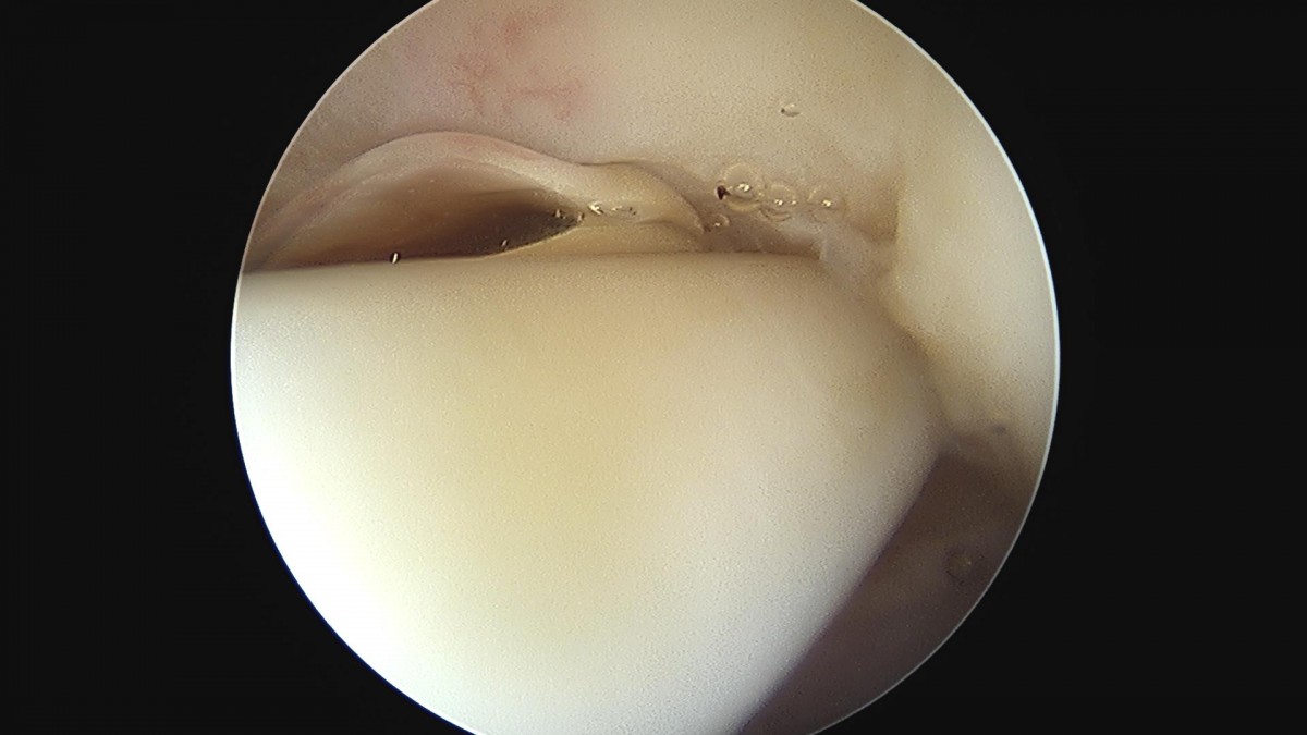 3cd48a8e02e388456e21d82dd041ccef_1652066629_322.jpg