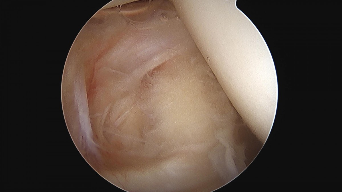 3cd48a8e02e388456e21d82dd041ccef_1652066629_9711.jpg
