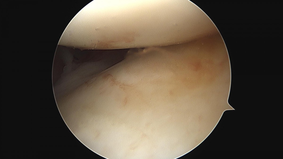 3cd48a8e02e388456e21d82dd041ccef_1652066631_9873.jpg