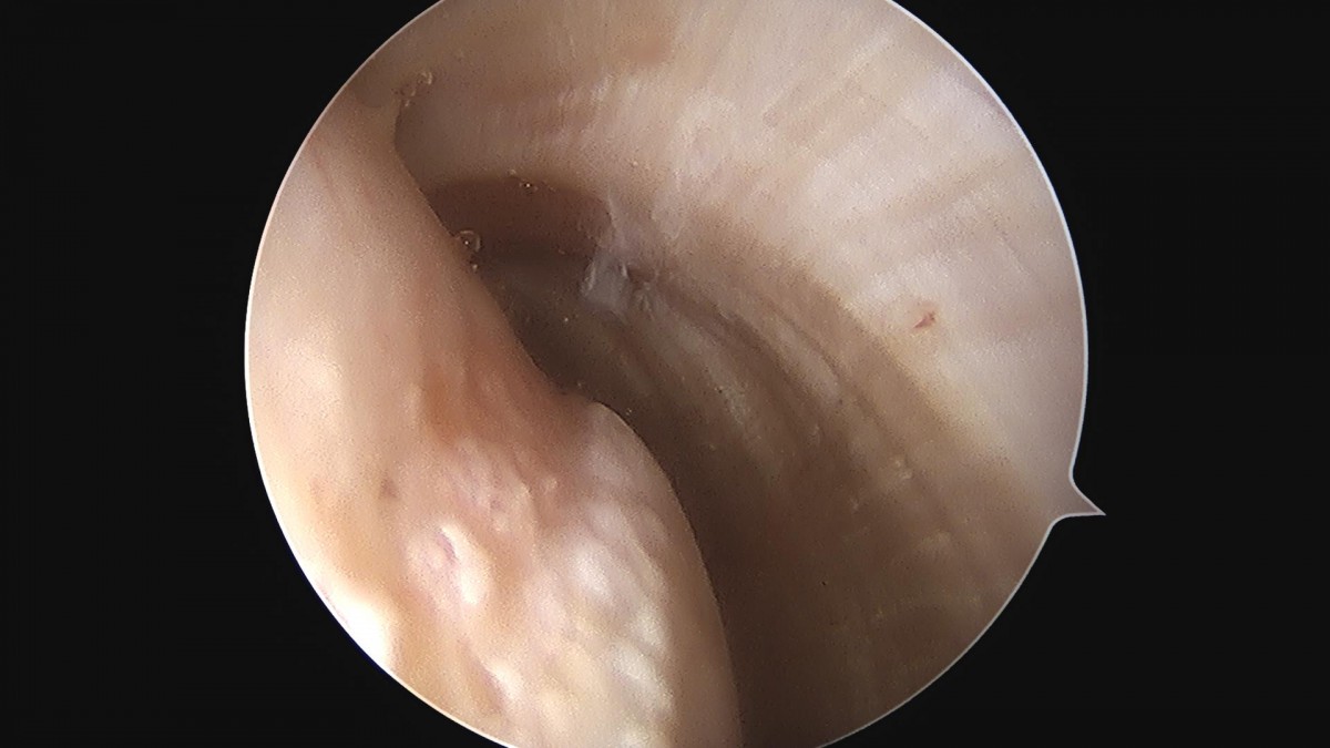 3cd48a8e02e388456e21d82dd041ccef_1652066632_6494.jpg