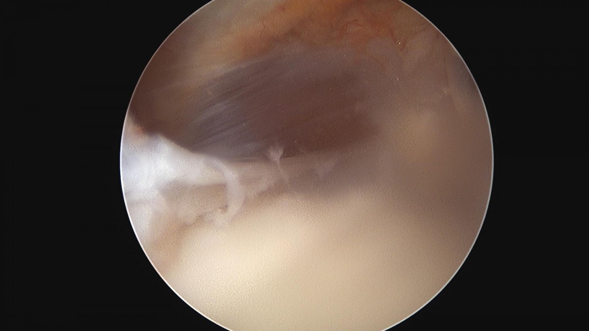 3cd48a8e02e388456e21d82dd041ccef_1652066633_3188.jpg