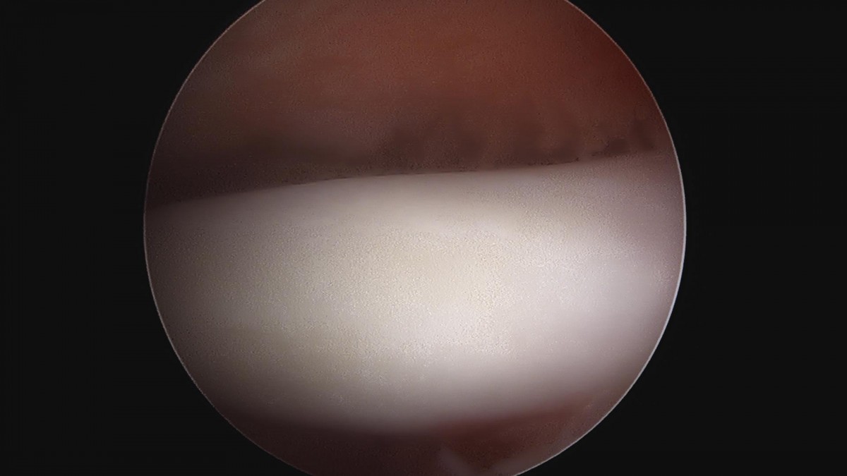 3cd48a8e02e388456e21d82dd041ccef_1652066836_7243.jpg