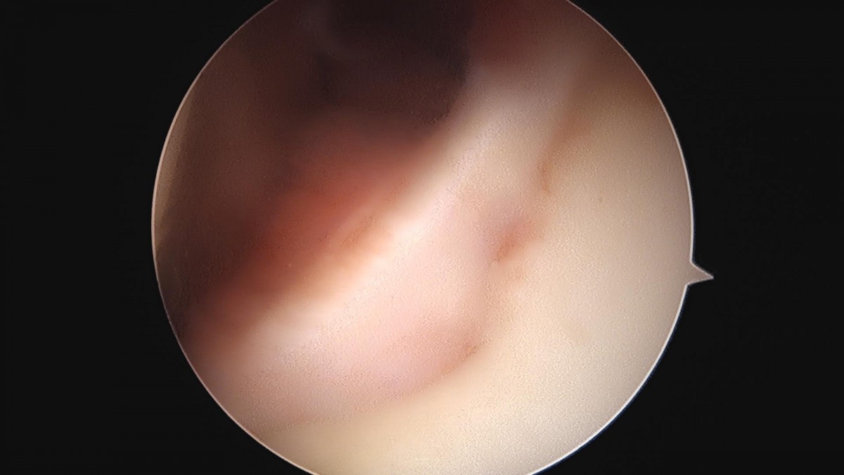 3cd48a8e02e388456e21d82dd041ccef_1652066837_4297.jpg
