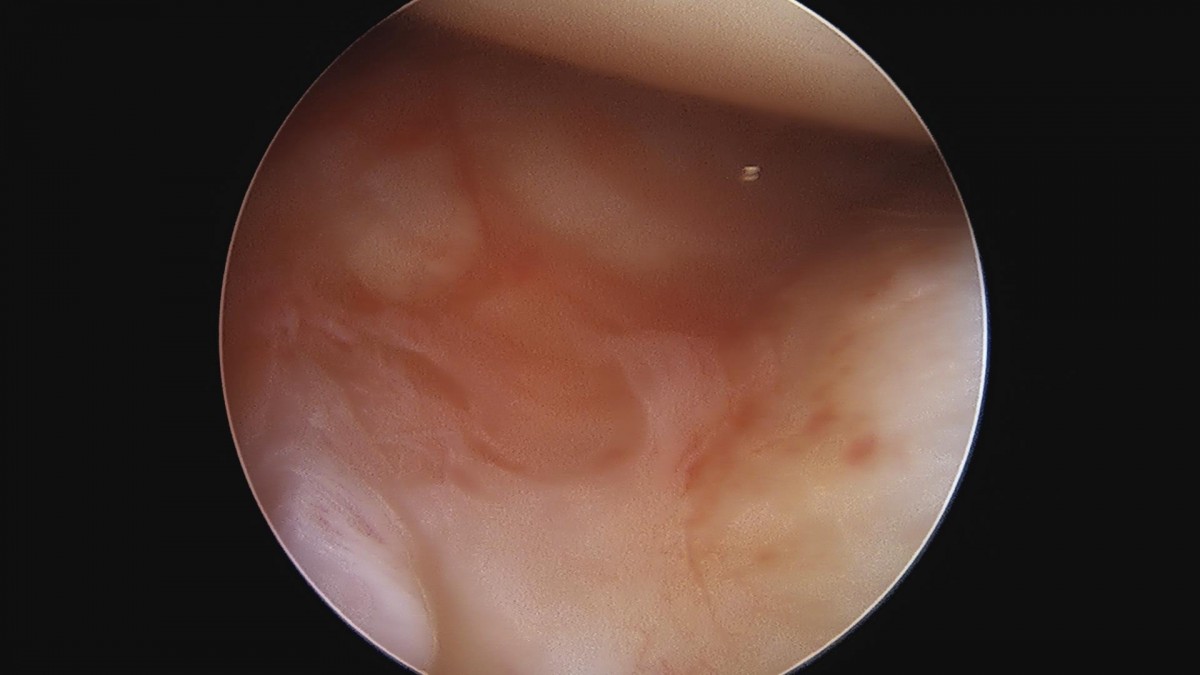 3cd48a8e02e388456e21d82dd041ccef_1652066838_7436.jpg