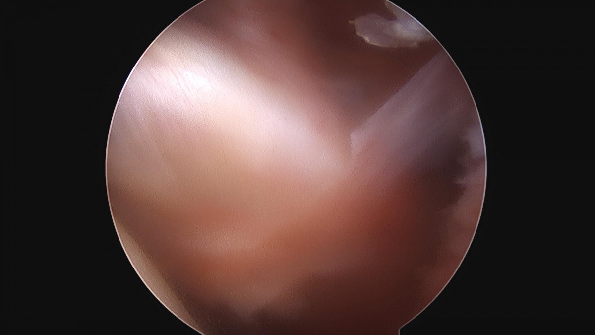 3cd48a8e02e388456e21d82dd041ccef_1652066840_0605.jpg