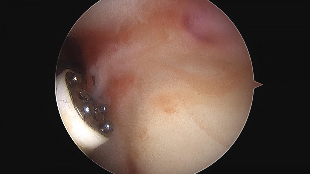 3cd48a8e02e388456e21d82dd041ccef_1652066840_7142.jpg