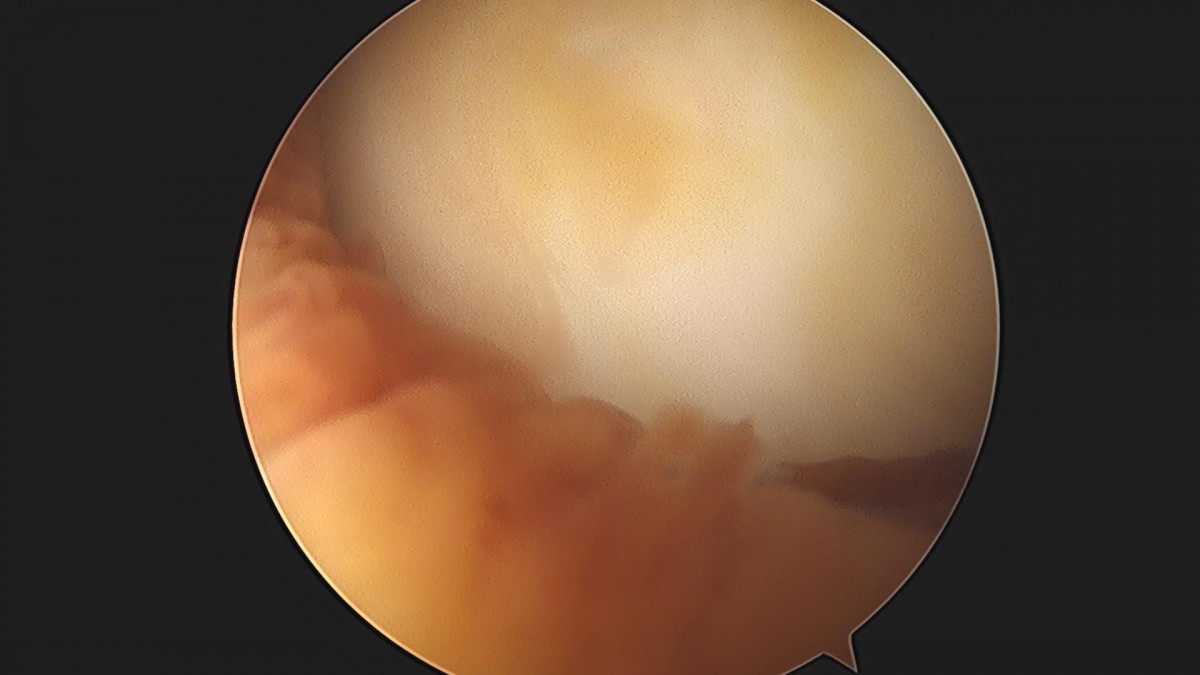 3cd48a8e02e388456e21d82dd041ccef_1652067241_0045.jpg