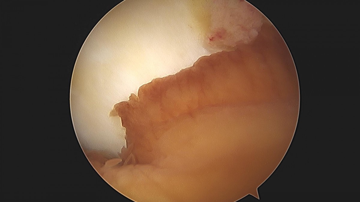 3cd48a8e02e388456e21d82dd041ccef_1652067243_1309.jpg