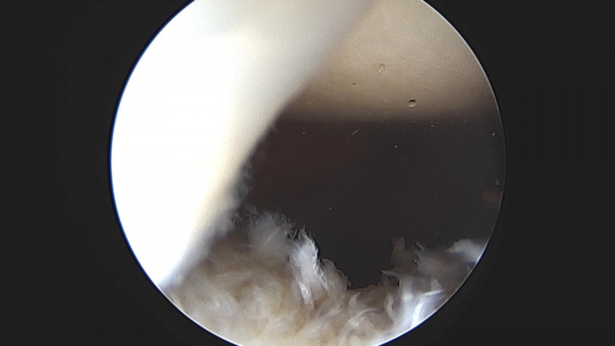 3cd48a8e02e388456e21d82dd041ccef_1652067253_7121.jpg