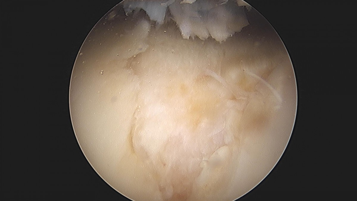 3cd48a8e02e388456e21d82dd041ccef_1652067254_3834.jpg