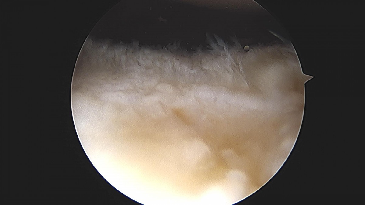 3cd48a8e02e388456e21d82dd041ccef_1652067255_069.jpg