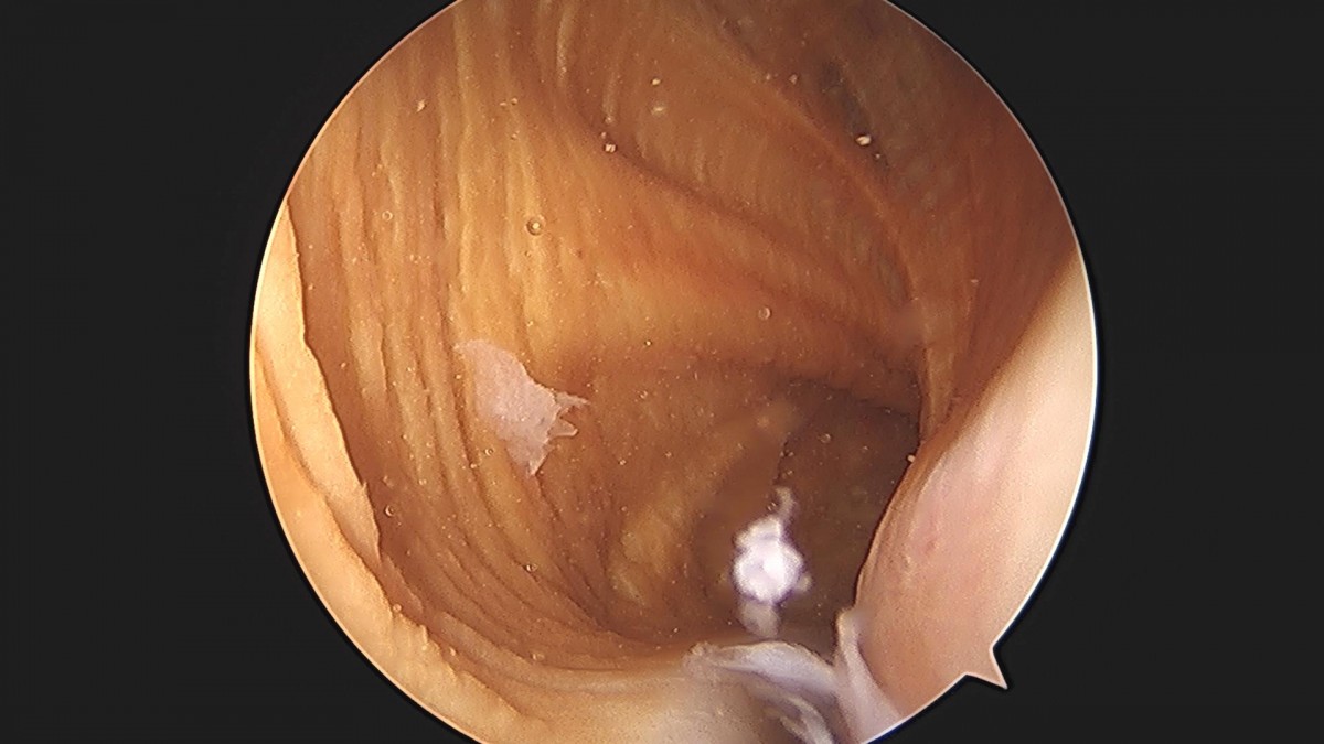 3cd48a8e02e388456e21d82dd041ccef_1652067256_3964.jpg