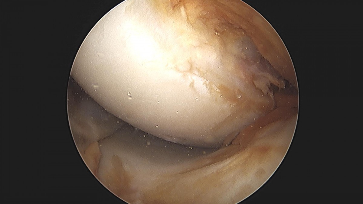 3cd48a8e02e388456e21d82dd041ccef_1652067258_4224.jpg