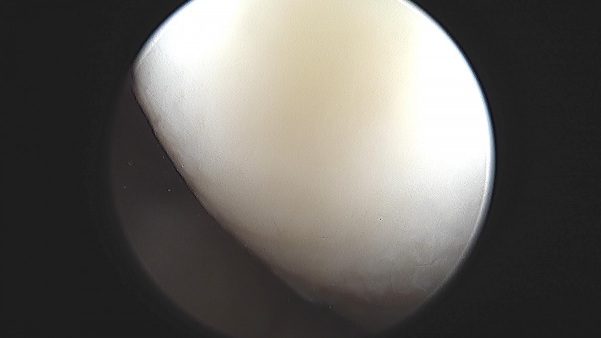 3cd48a8e02e388456e21d82dd041ccef_1652067420_8399.jpg