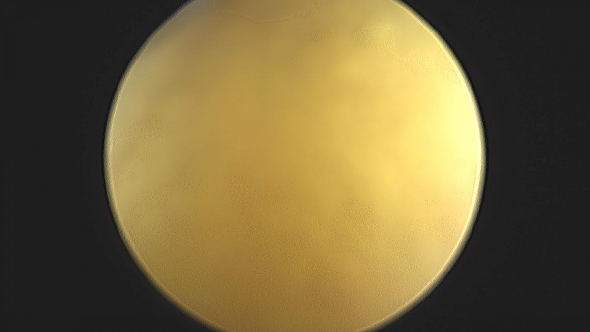 3cd48a8e02e388456e21d82dd041ccef_1652067421_5172.jpg