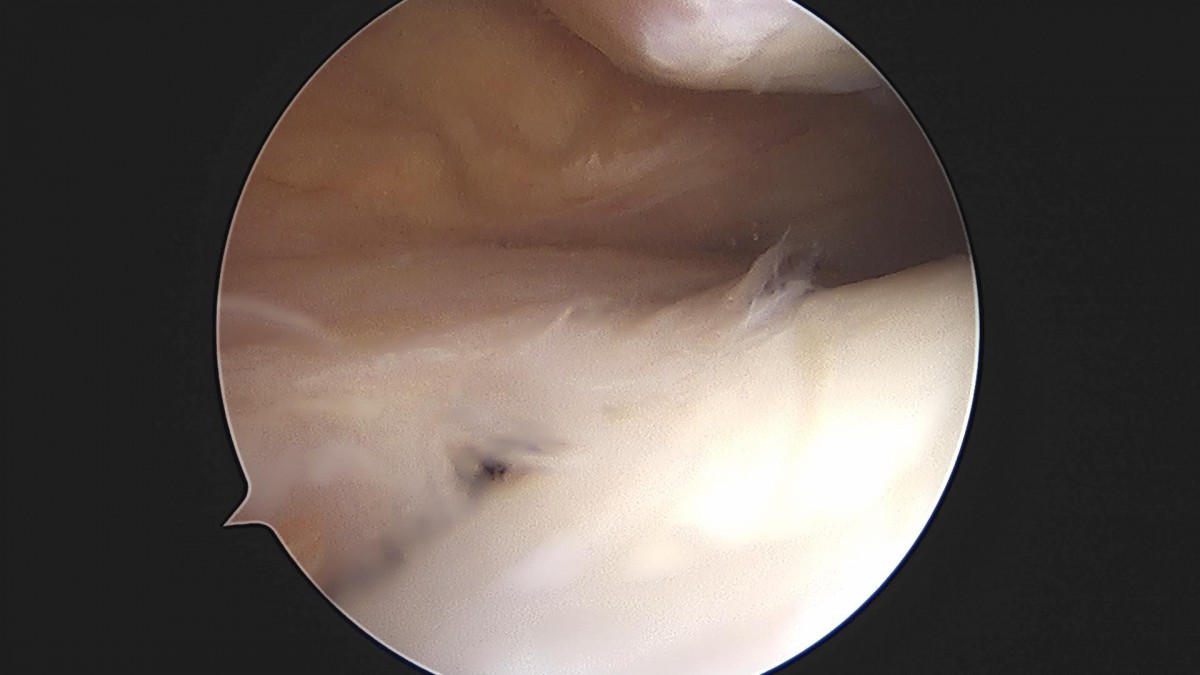 3cd48a8e02e388456e21d82dd041ccef_1652067422_2974.jpg