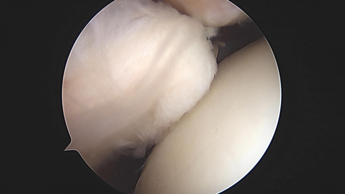 3cd48a8e02e388456e21d82dd041ccef_1652067422_94.jpg